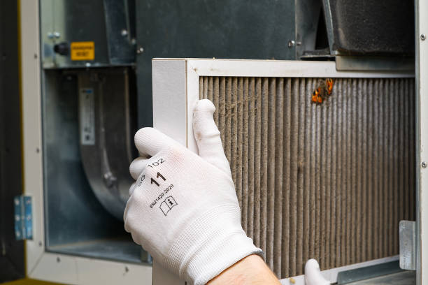 Best Emergency Air Duct Cleaning  in Elton, LA