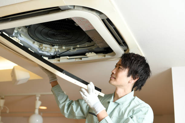 Best Air Duct Cleaning Near Me  in Elton, LA