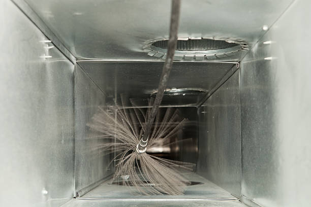 Best Residential Air Duct Cleaning  in Elton, LA