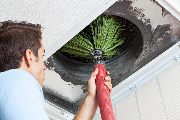 Best Professional Duct Cleaning Services  in Elton, LA